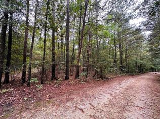 17 Lakeview Cir NE #17, Ranger, GA 30734
