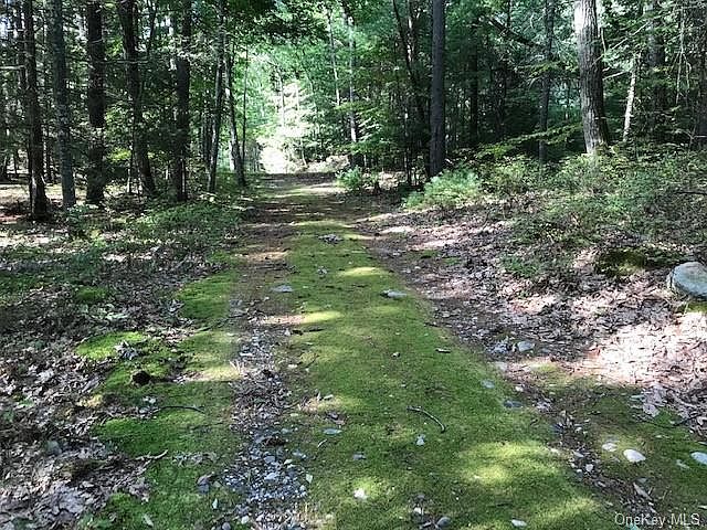 2nd image of Deer Hill Rd