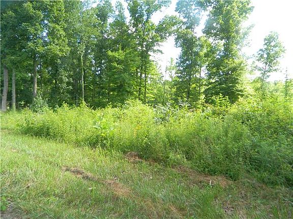 4th image of 0 Dogwood Ln