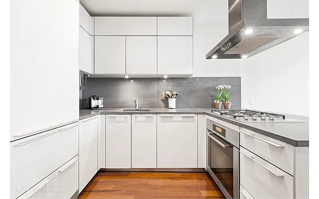 Rented by Douglas Elliman | media 4