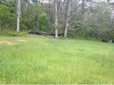 1420 Little Meadow Creek Rd, Greeneville, TN, 37743