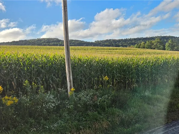 0 W Bakersville Edie Rd, Somerset, PA 15501