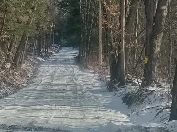 Burdick Hill Rd Lot 6, Otego, NY 13825