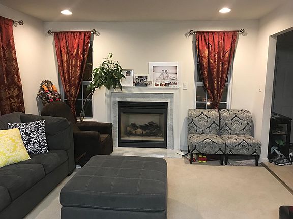 Living room Gas Fire Place