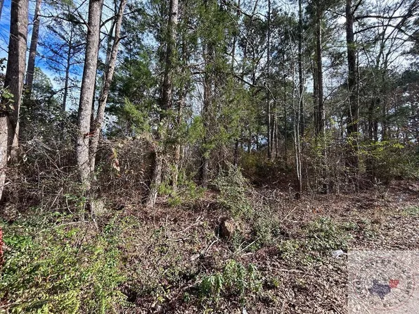 46 County Road 4793, Atlanta, TX 75551