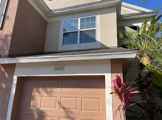 26528 Castleview Way #26528, Wesley Chapel, FL 33544