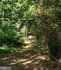 Reynolds Rd, Cross Junction, VA, 22625