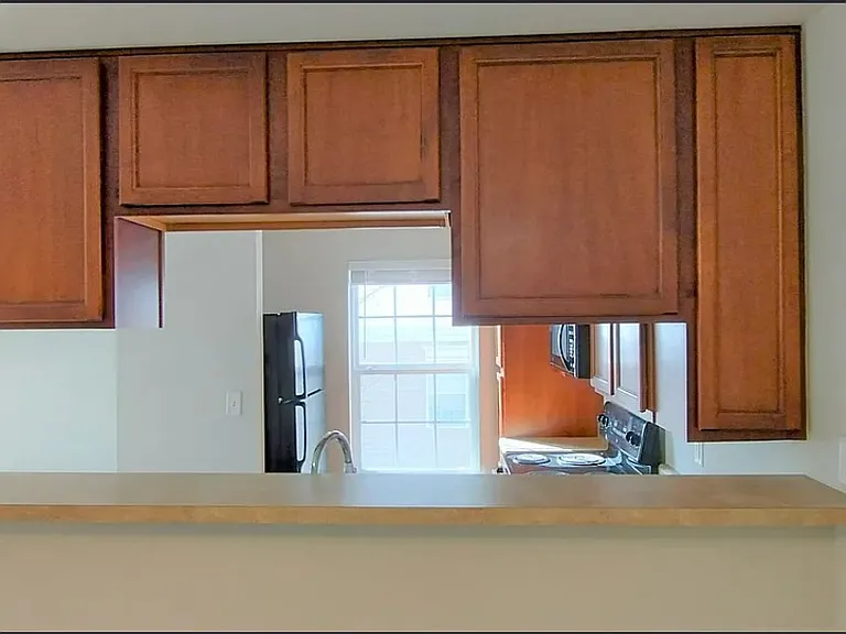 3202 Spring Creek Ln — Photo 6