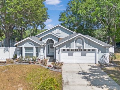 10339 Patrick Dr, Leesburg, FL, 34788