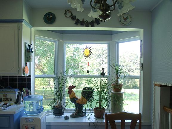 Bay Window 