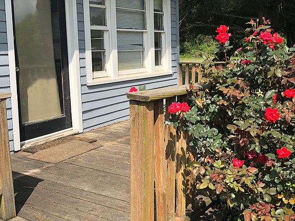 Front porch lined with knockout roses