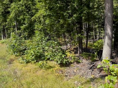 Pine Street, Contoocook, NH, 03229