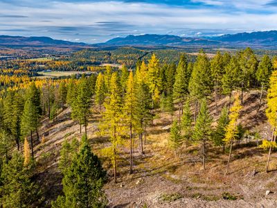 93 Northridge Ct, Whitefish, MT, 59937