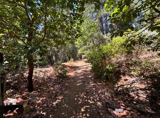 16704 New York House Rd, Brownsville, CA 95919