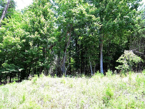 4th image of 0 Woodchuck Ln #103