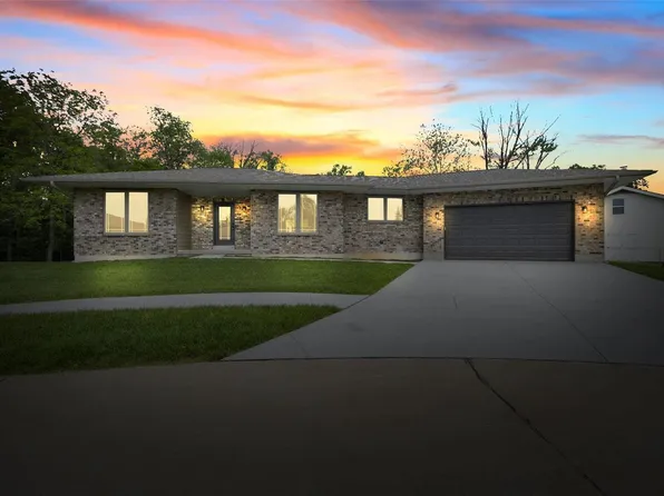 619 Ray Henry Dr, Hillsboro, MO 63050