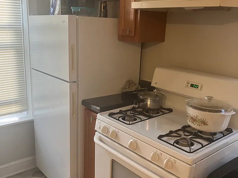 5945 N Greenview Ave #2G — Photo 8