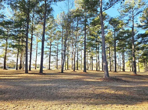 425 Pinelake Ct, Manning, SC 29102