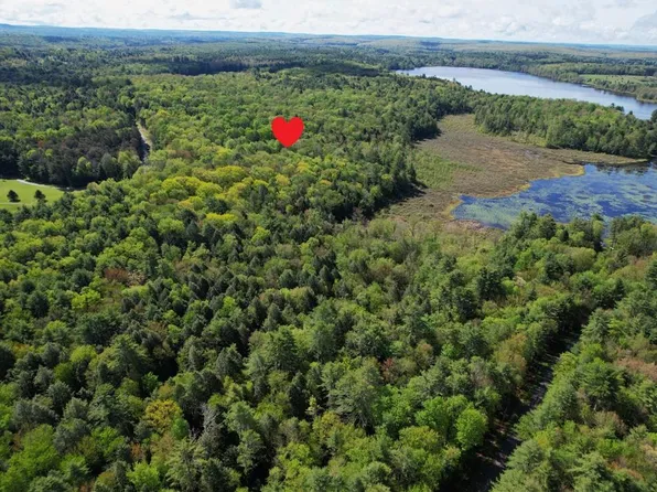 Lot 4 Deer Meadow Road, White Lake, NY 12786