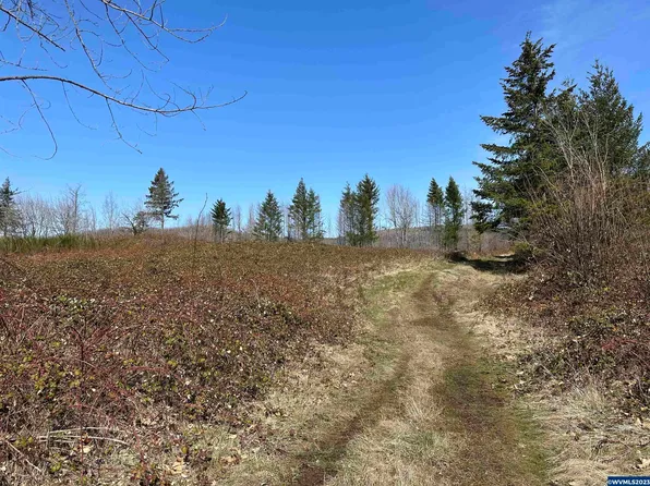 Thistledown Ln Lot 16, Gates, OR 97346