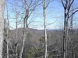1st image of 0 Chestnut Mountain Farms Pkwy