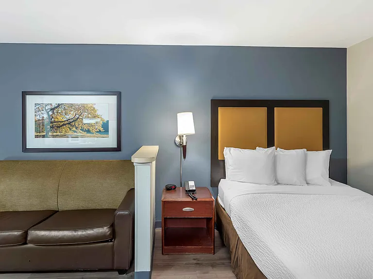 Deluxe Studio - 1 Queen Bed