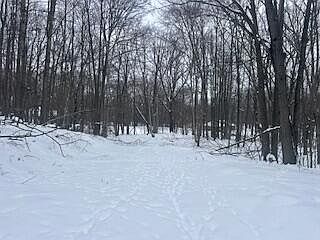 2nd image of 9980 Red Deer Ct #577