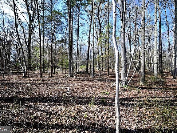 5th image of 18109 Livingston Rd