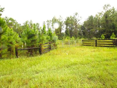 Youth Camp Rd LOT 1400, Groveland, FL, 34736