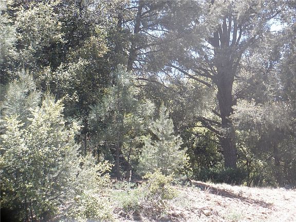 5th image of 2109 Bernina Dr