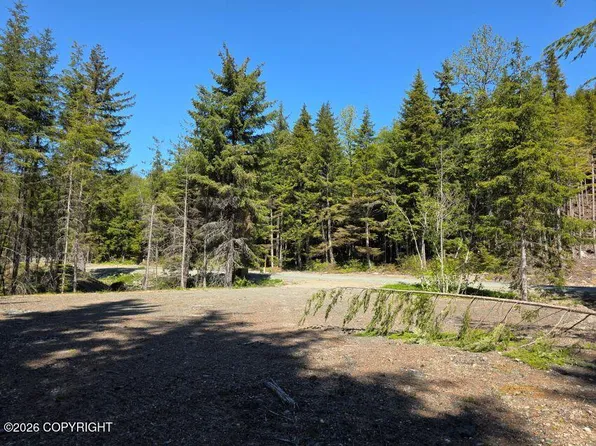 LOT 41 Martin Ave, Haines, AK 99827