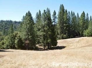 19667 Ponderosa Dr, Pioneer, CA 95666