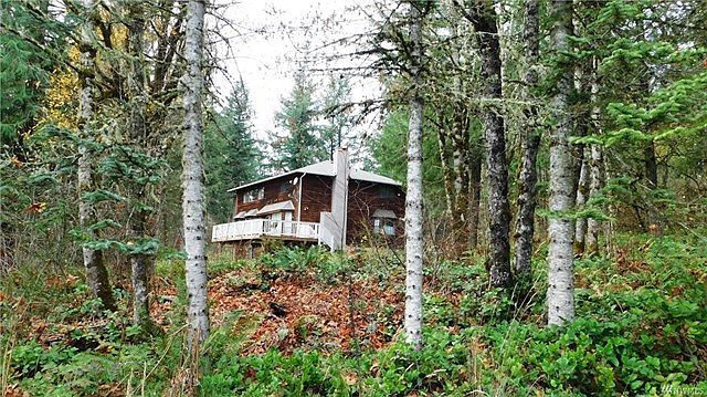 It's like living in a tree house!