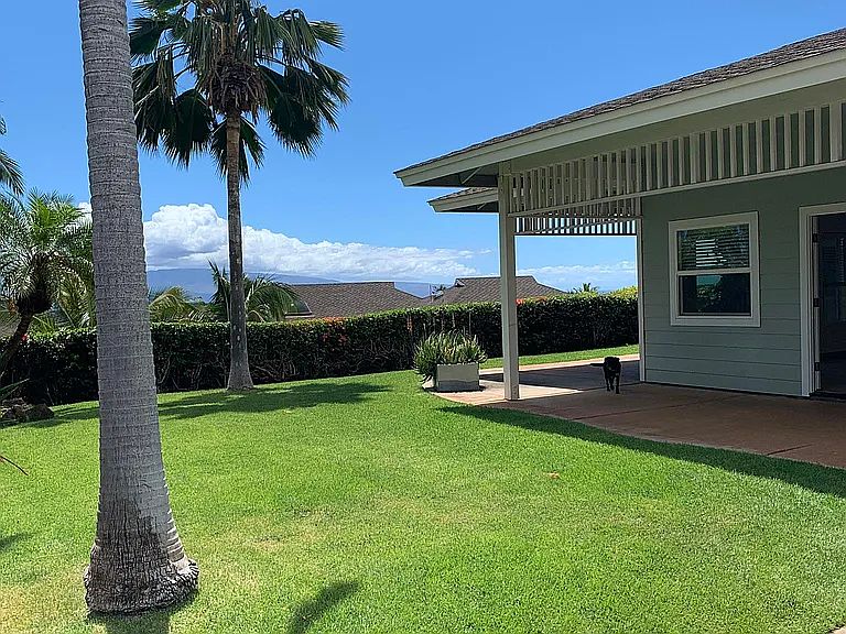 Yard and front of studio