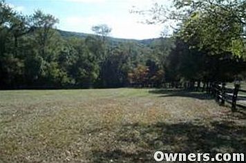 Plenty of Pasture Land