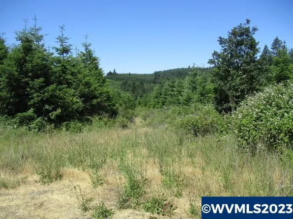 NW Mount Richmond Rd, Gaston, OR 97119