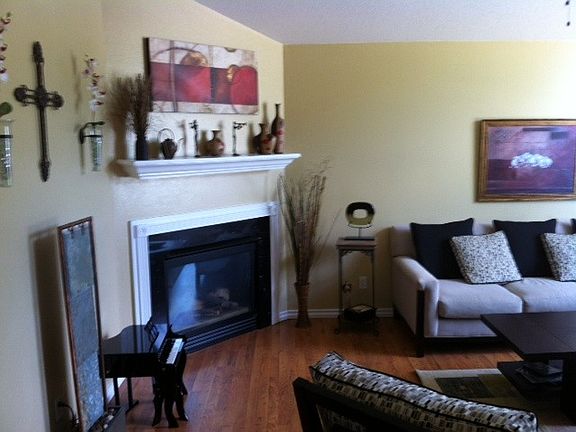 Living Room Fireplace