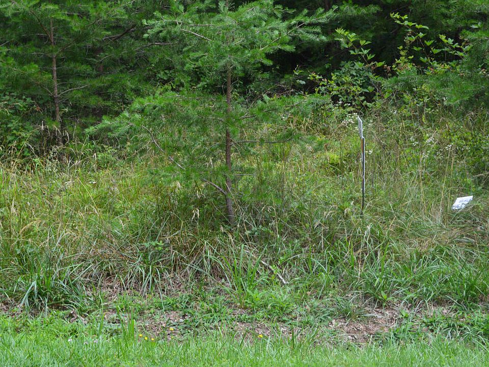 1st image of 116 Forest Hill Dr