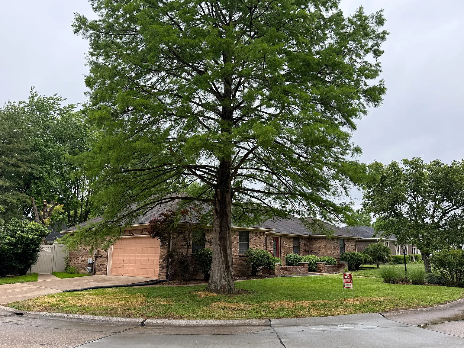 3 bed, 1778 sqft, $2,000 — Photo 3