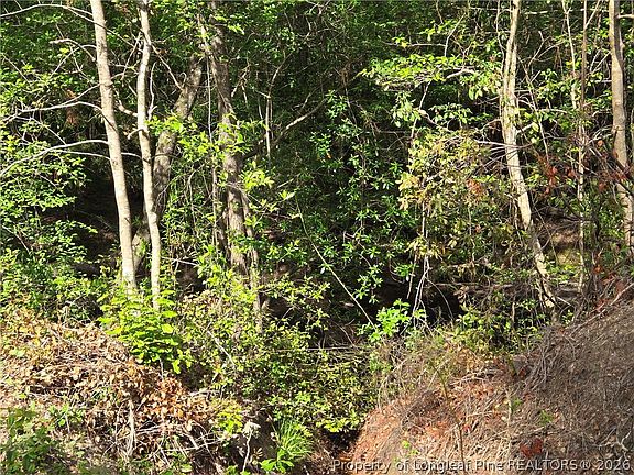 3rd image of Tbd Cabins Creek Rd