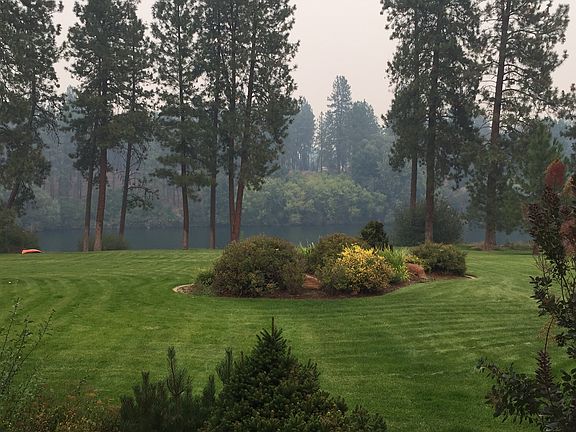 Balcony View of Backyard