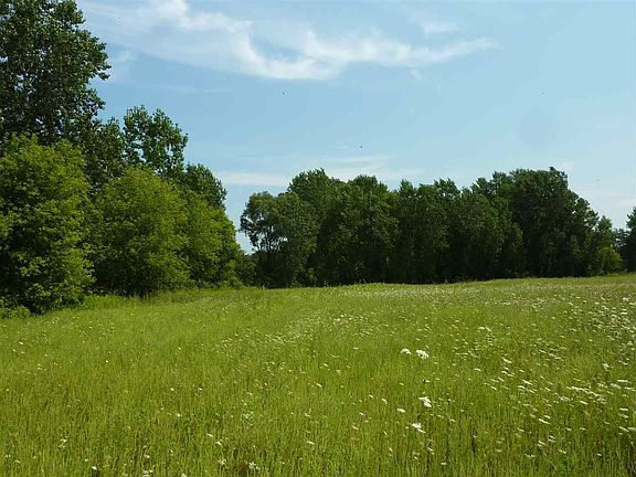 North end of property - facing East