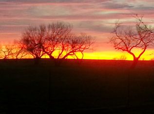 710 Scott Ln, Bellevue, TX 76228