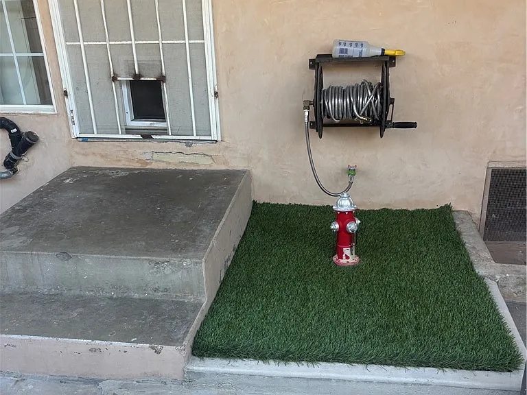 6250 Aura Ave — Photo 59