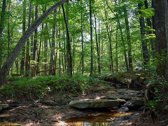 Compass South Land Sales Alabama Brinn Tract 05