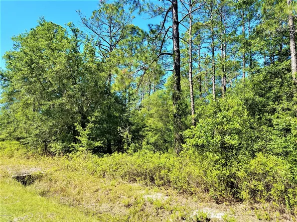 10015 Delgado Ave, Hastings, FL 32145