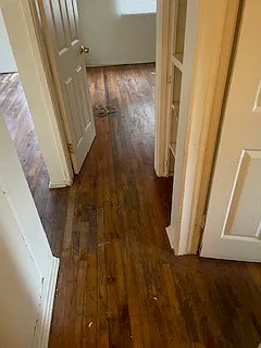 1813 Polly St — Photo 5