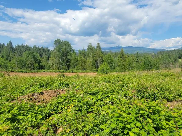 Dl 2620 Yellowhead Hwy Lot 1, Clearwater, BC V0E 1N1