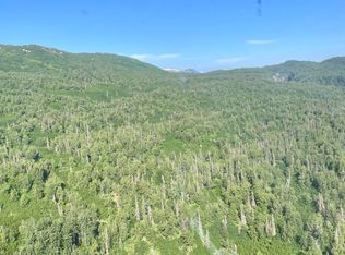 0 Road, Skwentna, AK 99667