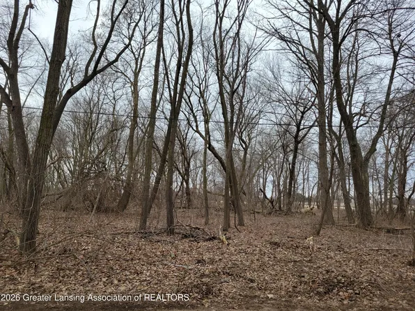 0 E M21, Ovid, MI 48866